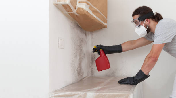 Professional Bathroom Mold Removal technician working in Edmonds, WA