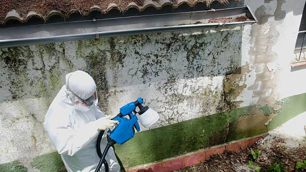 Top rated local Bathroom Mold Removal specialists in Edmonds, WA